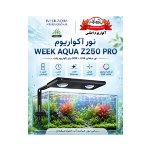 نور ویک آکوا WEEK AQUA Z250 PRO-Z