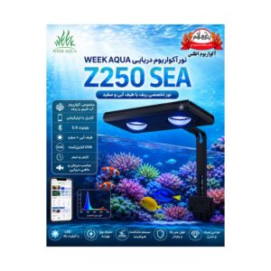 نور ویک آکوا WEEK AQUA Z250 SEA