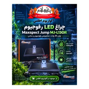 نور رفوجیوم Maxspect Jump MJ-L130R
