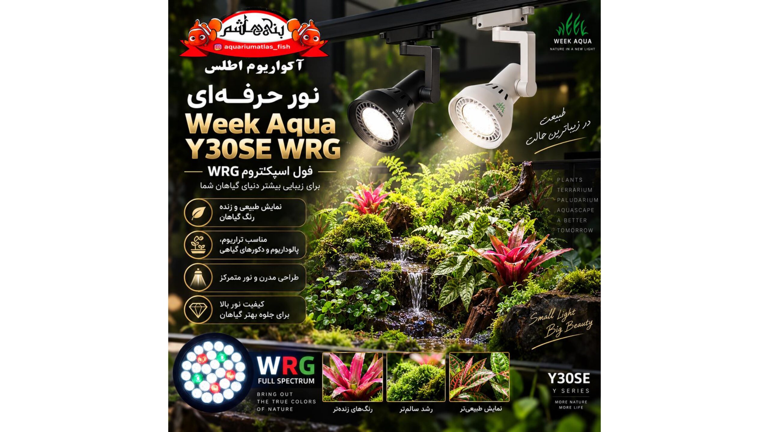 نور حرفه‌ای گیاه و پالوداریوم Week Aqua Y30SE WRG