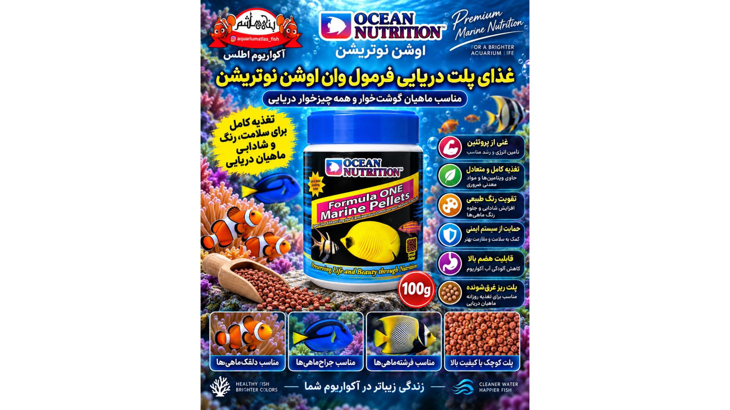 غذای ماهی اوشن نوتریشن فرمول یک  – پلت مخصوص آبشور 100 گرمی   Ocean Nutrition Formula one Marine Pellets 100g