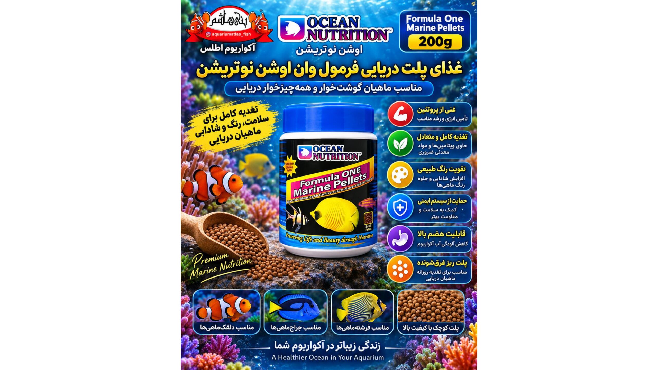 غذای ماهی اوشن نوتریشن فرمول یک – پلت مخصوص آبشور 200 گرمی   Ocean Nutrition Formula one Marine Pellets 200g