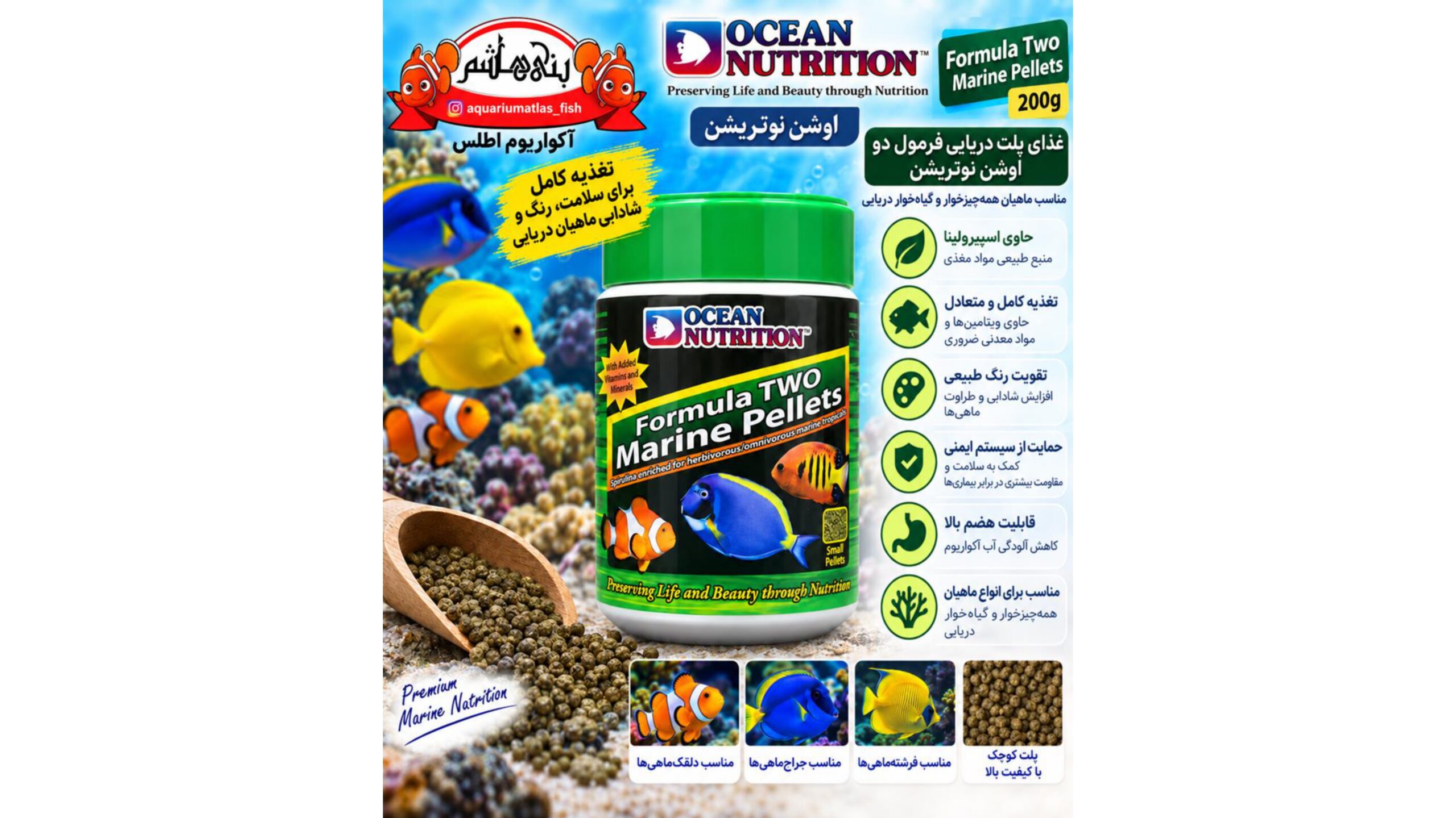 غذای ماهی اوشن نوتریشن فرمول دو – پلت مخصوص آبشور 100 گرمی   Ocean Nutrition Formula Two Marine Pellets 100g