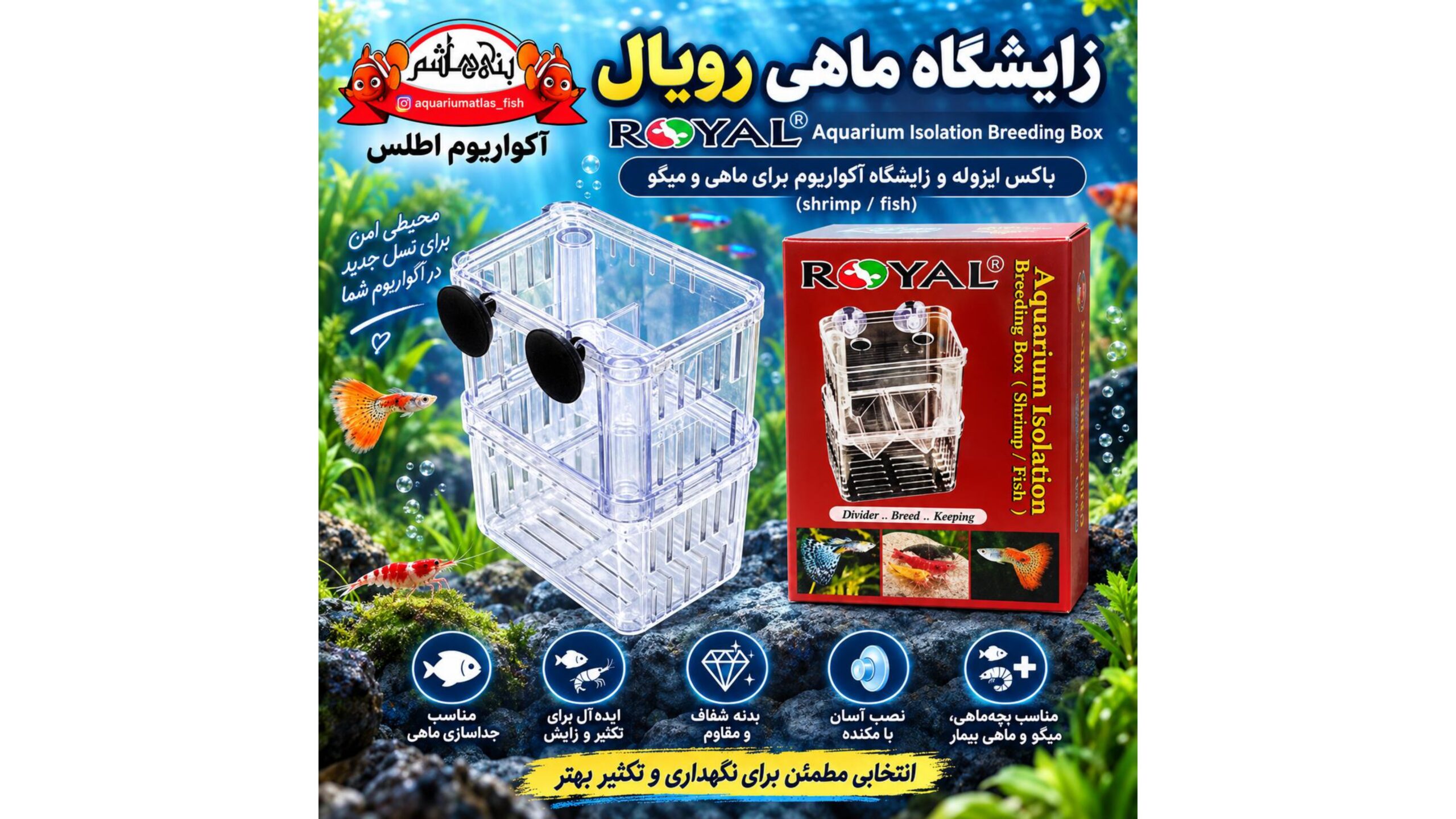 زایشگاه ماهی رویال ROYAL Aquarium Isolation Breeding Box