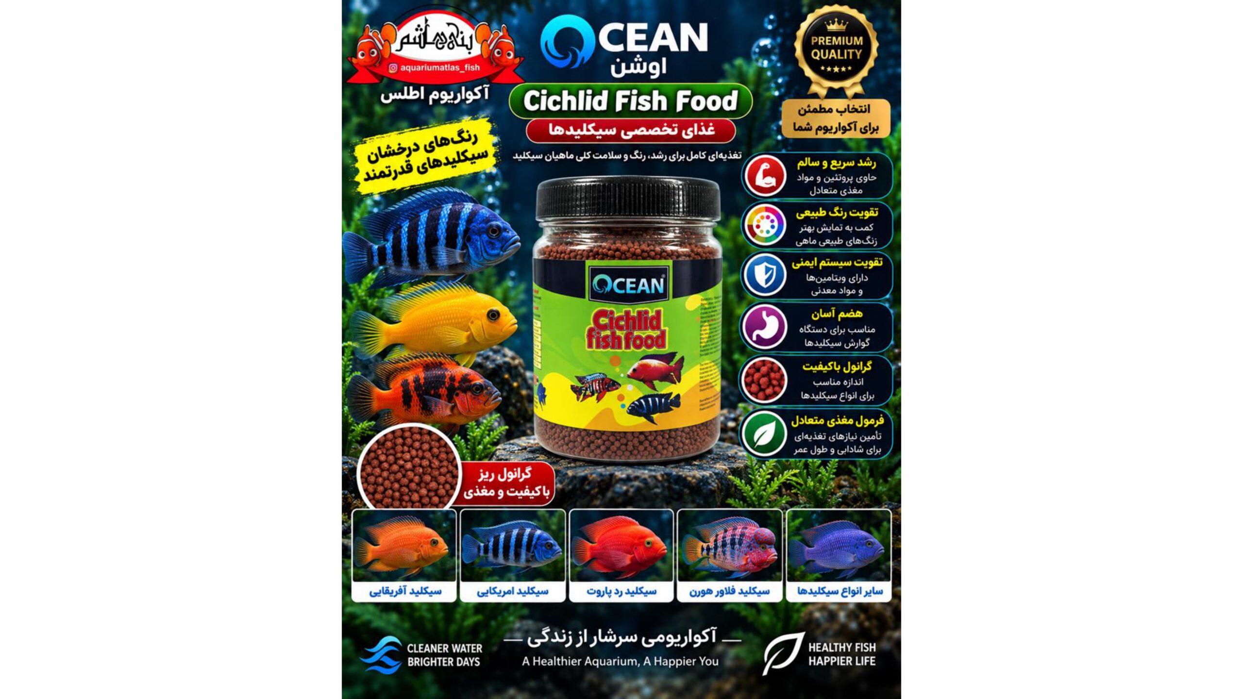 غذای گرانولی مخصوص ماهیان سیکلید اوشن    OCEAN Cichlid Fish Food