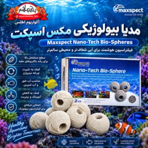 Maxspect Nano-Tech Bio-Spheres مدیای فوق‌ متخلخل برای فیلتراسیون بیولوژیک حرفه‌ای مکس اسپکت