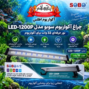 نور LED آکواریوم SOBO مدل LED-1200P – 32W