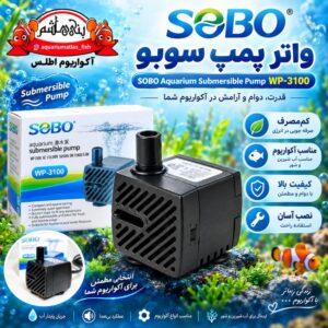 واتر پمپ سوبو SOBO مدل WP-3100