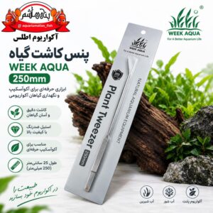 پنس (انبر) زاویه‌دار کاشت گیاه آکواریوم ویک آکوا WEEK AQUA Plant Tweezer 250mm Curved