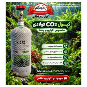 کپسول CO2 فولادی آکواریوم پلنت 3 کیلویی و 2 کیلویی